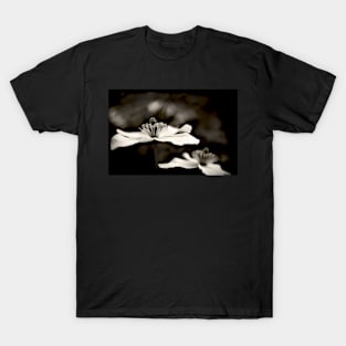 Clematis flower (in black and white) T-Shirt